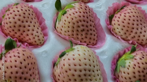White and pink strawberries are arranged in neat rows.