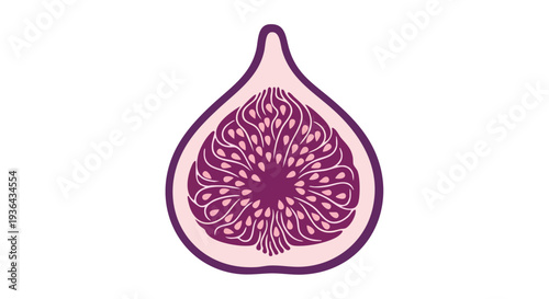Half Cut Purple Fig Fruit Vector Illustration