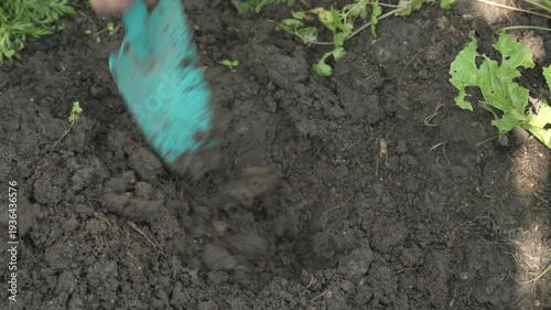 Close-up of gloved hands digging and turning dark soil in a garden bed, with green leaves at the edges, outdoor natural light.