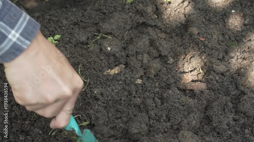Hand digging soil with garden trowel