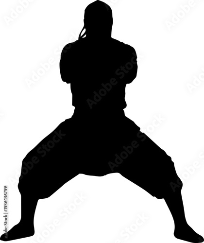 Martial Arts Fighter Silhouette Combat Sport Pose