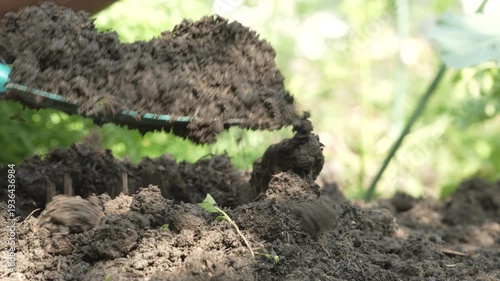 Close-up of rich dark garden soil being shoveled onto a raised bed in a sunny backyard, with green plants blurred in the background.
