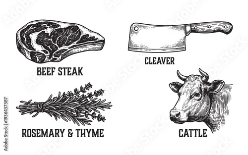 Culinary set with raw beef steak cleaver knife herbs and cow head sketch