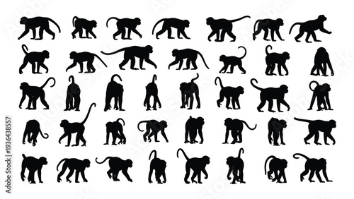A collection of black cat silhouettes on a white background