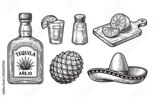 tequila set with bottle, shot glasses, agave, lime, and salt engraving vector illustration