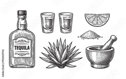 tequila set with bottle, shot glasses, agave, lime, and salt engraving vector illustration