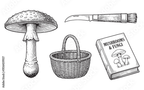 mushroom foraging set with a basket, knife, and book engraving vector illustration