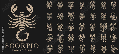 Scorpio zodiac sign line art icons set, minimalist scorpion astrology symbols with modern outline