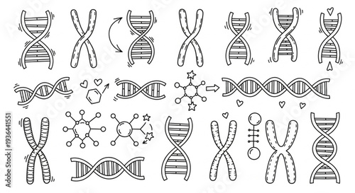 DNA Molecules and Genetic Structures.