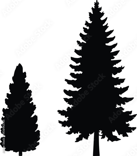 Pine tree silhouette set evergreen conifer forest tree shapes black vector illustration isolated on white background nature landscape design