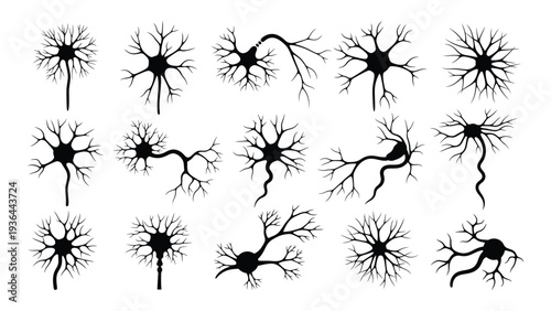 A collection of black neuron illustrations on a white background