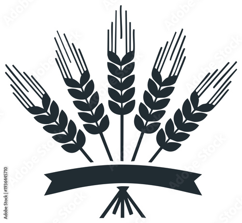 Wheat stalks with ribbon illustration for harvest festival graphic element emblem