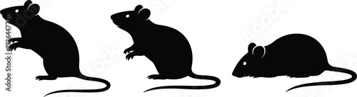 Black silhouette set of small mice in various poses, vector illustration of laboratory rats and domestic rodents isolated on white background