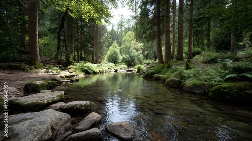 A clear forest stream meanders through a lush sun d d woodland with moss covered rocks along its banks