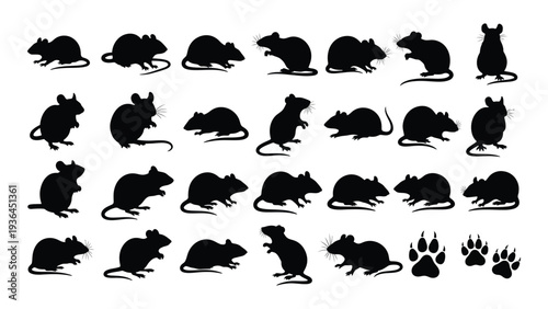 Collection of black silhouette images of rodents and footprints