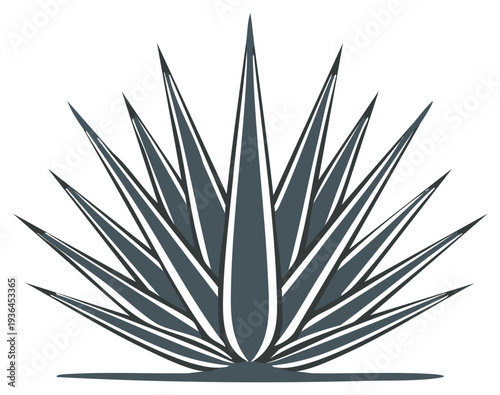 Stylized agave plant illustration featuring sharp spiky leaves in a minimalist graphic design