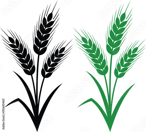 Black and green wheat grain agriculture