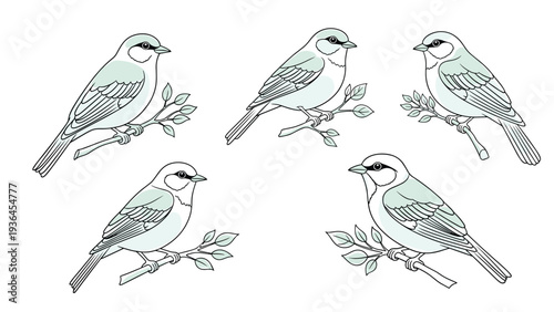 Collection of small birds perched on tree branches with delicate leaves, illustrated in a simple hand-drawn style with soft green tones.