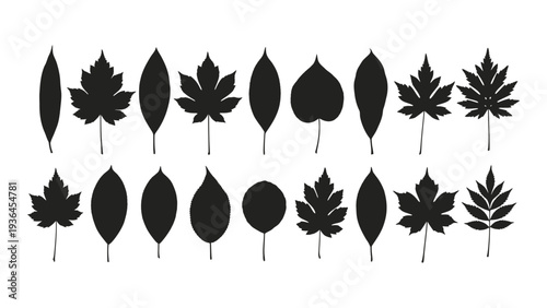 A collection of black leaf silhouettes on a white background