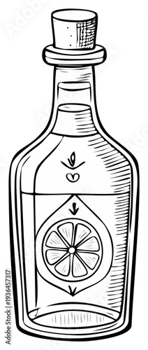 Ink drawing of a bottle with a cork containing liquid and a citrus design