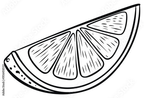 Hand Drawn Black and White Slice of Citrus Fruit with Juicy Segments and Peel Texture