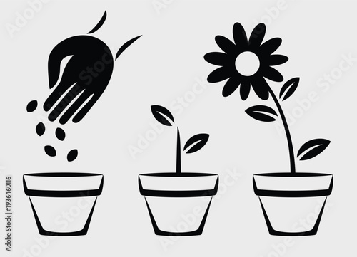 Hand planting seeds in pots with growing flowers