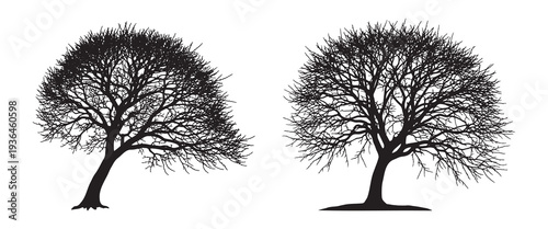 Qingming festival bare tree silhouette spring memorial landscape clean vector isolated