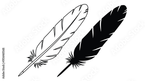 A black and white illustration of two feathers
