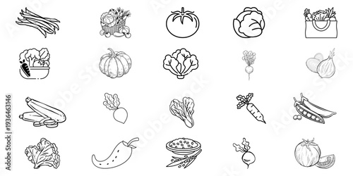 Hand-Drawn Vegetable Sketch Vector Set – Outline Icons of Tomato, Carrot, Pumpkin, Cabbage & More | Black & White Farm Fresh Food Illustration Collection for Organic & Cooking Design