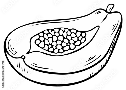 Papaya Slice Sketch Tropical Fruit Illustration Healthy Food Outline Drawing Vitamin Rich Diet Ingredient