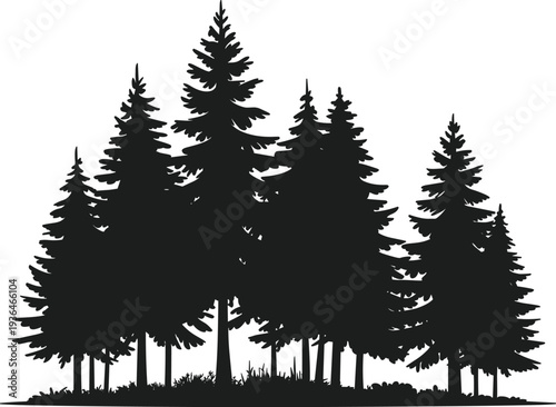 Black silhouette of a dense forest of pine trees with textured branches and a grassy foreground against a white background