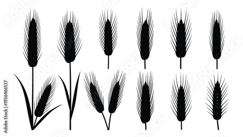 A group of cattail silhouettes on a white background