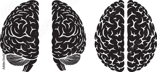 Detailed black and white illustrations of human brain from multiple angles