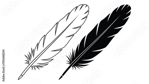 A black and white drawing of two feathers
