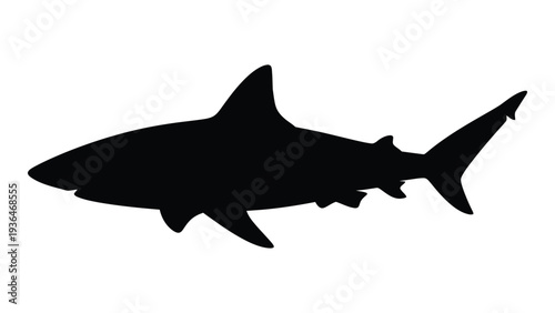 A black silhouette of a shark on a white background