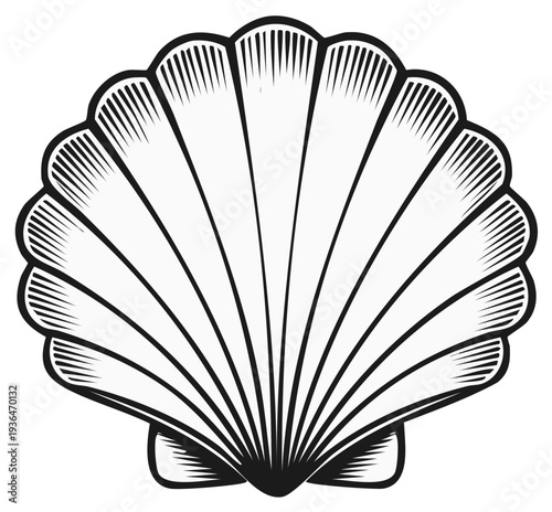 Black and White Scallop Shell Vector Illustration. Marine Ocean Life Icon Engraved Style.