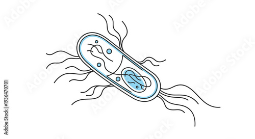 Microscopic view of a bacterium cell with flagella and internal structures representing microbiology and infectious diseases.