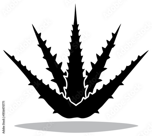 Black silhouette of an aloe vera succulent plant with spiky leaves vector graphic icon