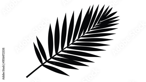 A black silhouette of a palm leaf on a white background