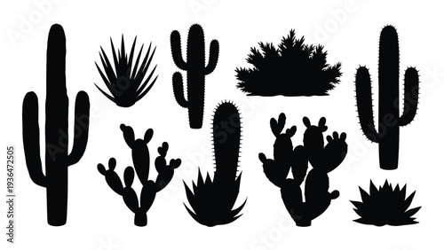 Collection of various cactus and succulent silhouettes on a white background