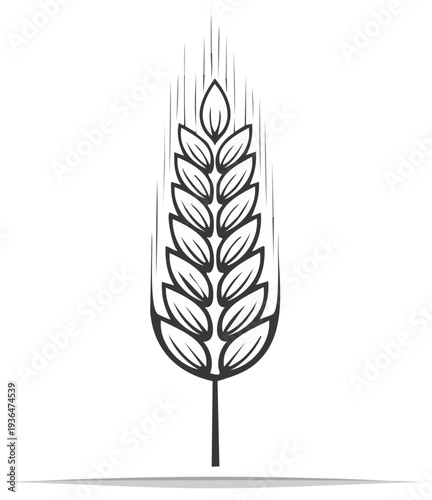 Single stalk of wheat with grains, simple line art, grain harvesting season, cereal crop, food agriculture symbol and design element
