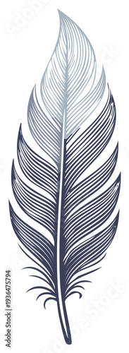 Intricate engraved feather quill with fine lines and details for writing or decoration in a monochrome scheme an isolated subject.