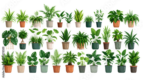 Indoor potted plants collection, modern decorative pots, tropical foliage greenery, botanical leaves design, home decor element, cad drawing flat vector illustration