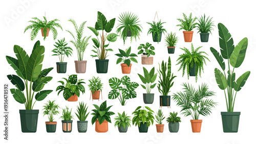 Indoor potted plants collection, modern decorative pots, tropical foliage greenery, botanical leaves design, home decor element, cad drawing flat vector illustration