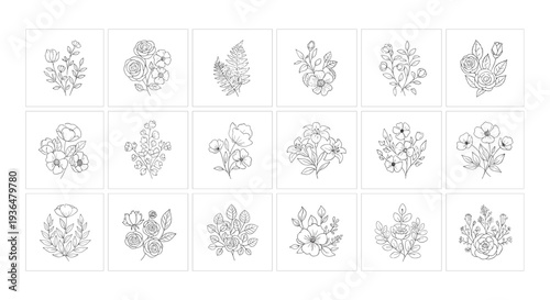 Collection of various intricate floral and botanical line art illustrations