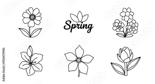 Hand-drawn black and white spring floral icons with flowers and leaves, seasonal nature illustrations for creative design