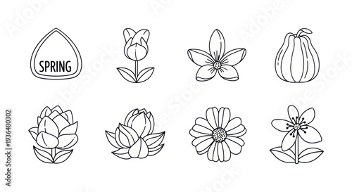Black and white line art spring flowers icons collection with tulip, daisy, and nature elements, perfect for seasonal designs and botanical projects