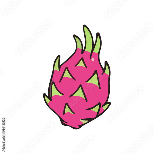 Pink Dragon Fruit Illustration