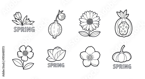 Hand-drawn outline spring flowers and plants icons collection with simple text for seasonal design and decoration projects