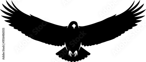 Silhouette of a bird in flight, soaring through the air with outstretched wings from a front viewpoint